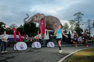 BIB: 
                            <button type="button" onclick="openModal(26529437)" class="btn btn-primary btn-sm float-right btn-popup" data-toggle="modal" data-target=".modal-high-quality">
                        <i class="fas fa-shopping-cart"></i> Add to Cart
                    </button>
                                            <button type="button" onclick="isThisMe(26529437, true)" class="btn btn-success btn-sm float-right btn-popup btn-isme hidden" data-toggle="tooltip" data-placement="bottom" title="นี่คือรูปของคุณใช่ไหม คลิกที่นี่เพื่อเอาเข้าอัลบั้ม">
                        <i class="fas fa-plus"></i> Add to album
                    </button>
                    <button type="button" onclick="isThisMe(26529437, false)" class="btn btn-warning btn-sm float-right btn-popup btn-isnotme hidden">
                        <i class="fas fa-ban"></i> Remove from album
                    </button>